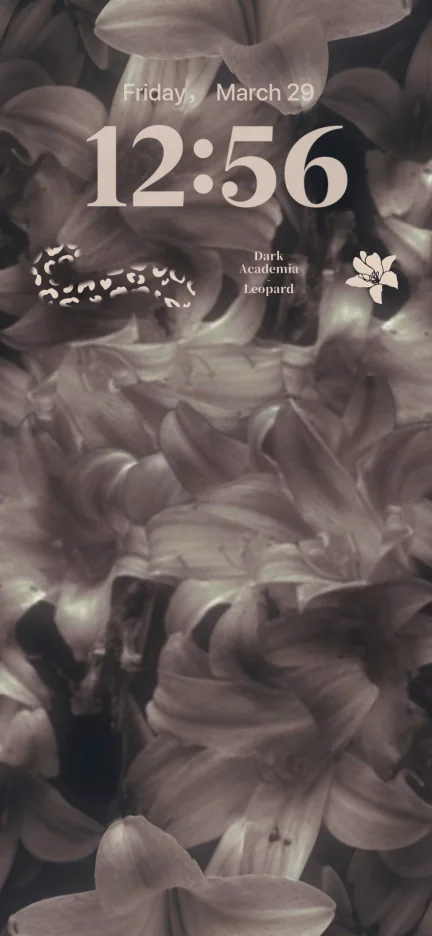 Wallpaper aesthetic wallpapers iPhone