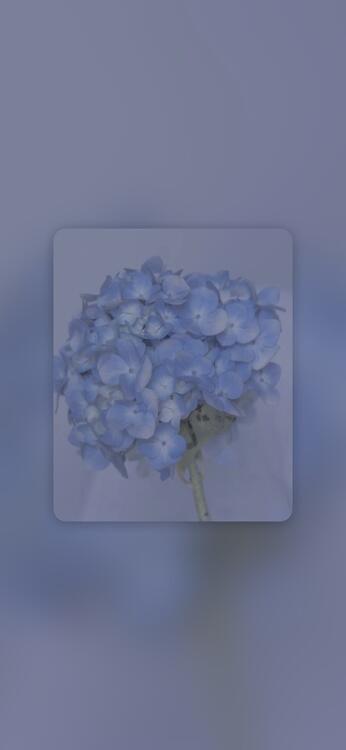 Wallpaper aesthetic wallpapers iPhone