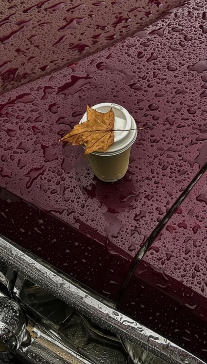 Nature 330610