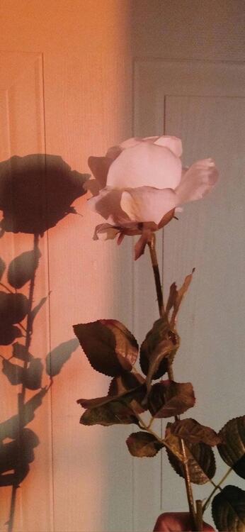 Spring 188700