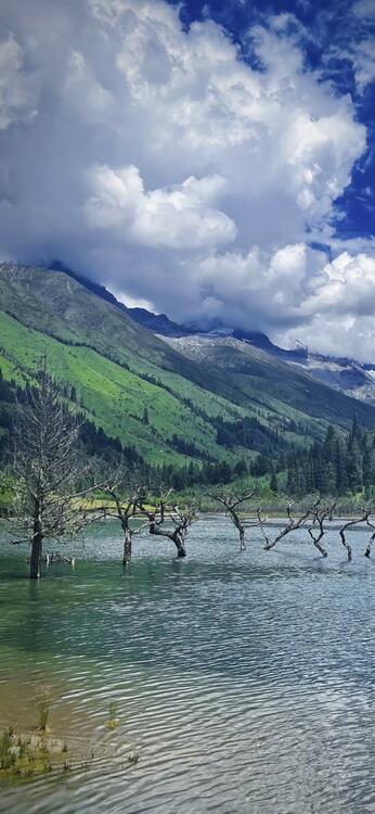 Beach 250700