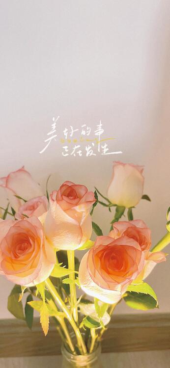 Spring 250635