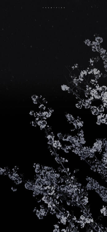 Wallpaper aesthetic wallpapers iPhone