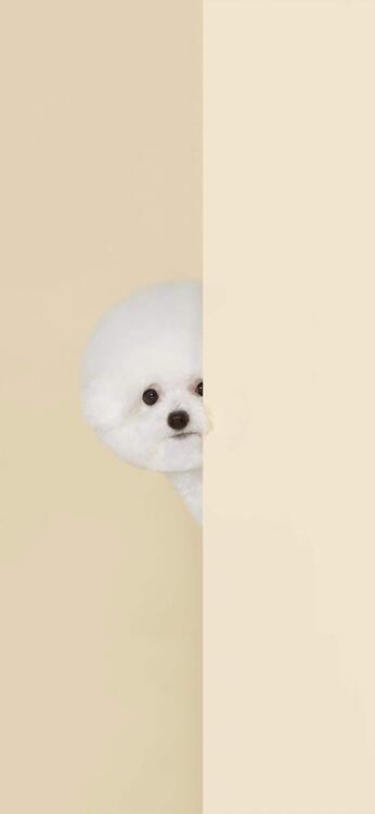 Wallpaper aesthetic wallpapers iPhone