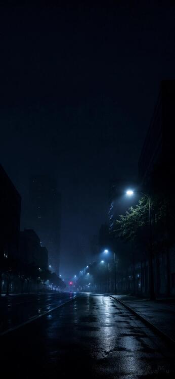 Black 328323