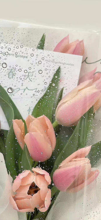 Primavera