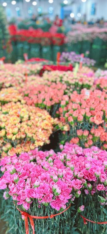 Spring 250630