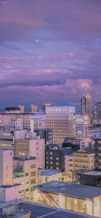 Purple 106899