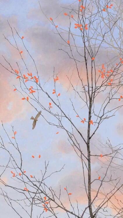 Nature 105932