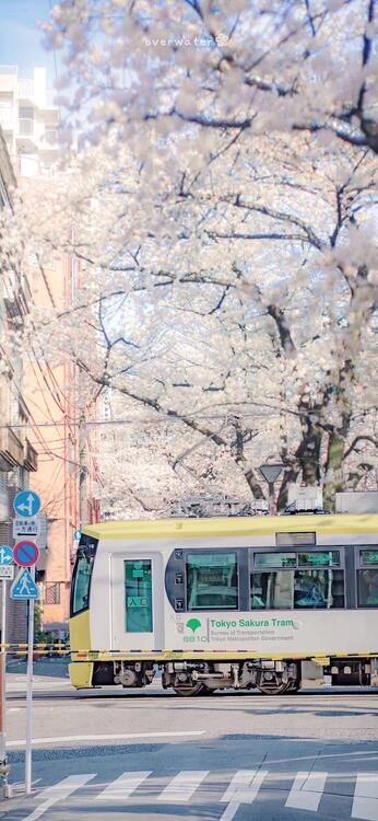 壁紙おしゃれなiPhone壁紙
