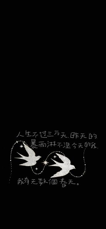 Black 329955