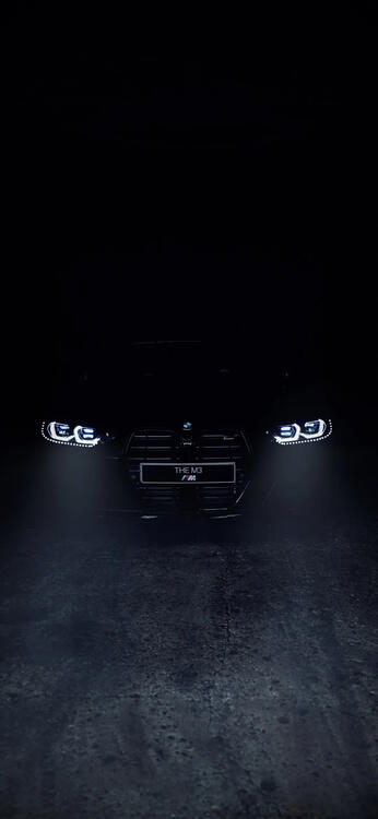 Black 244225