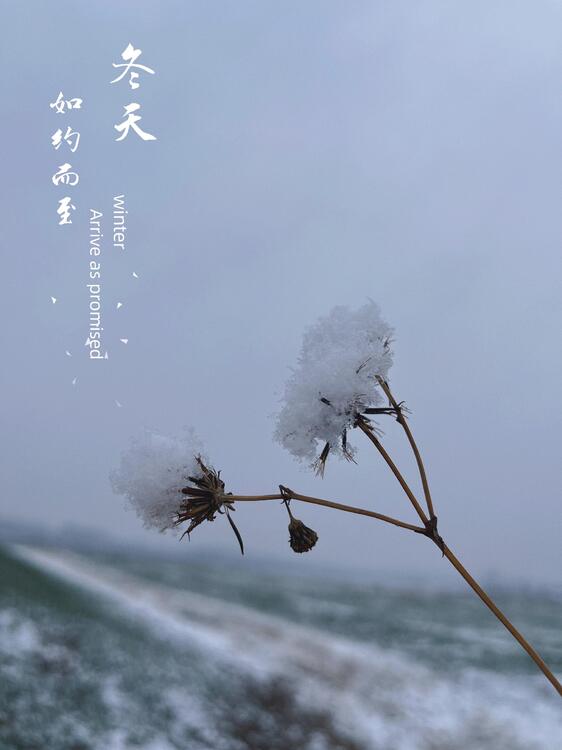壁纸精美iPhone壁纸