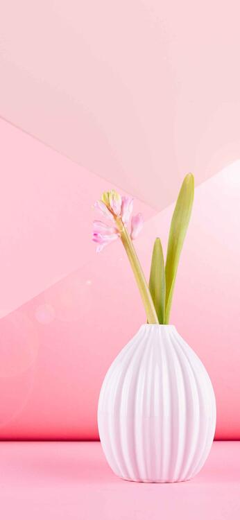 Primavera