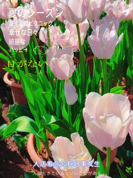 壁紙おしゃれなiPhone壁紙