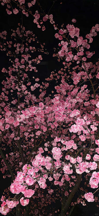 Wallpaper aesthetic wallpapers iPhone