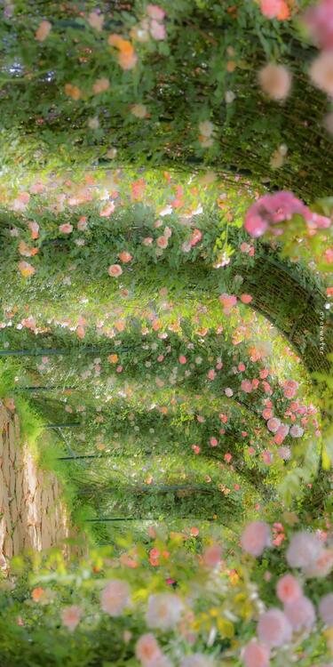 Nature 330159