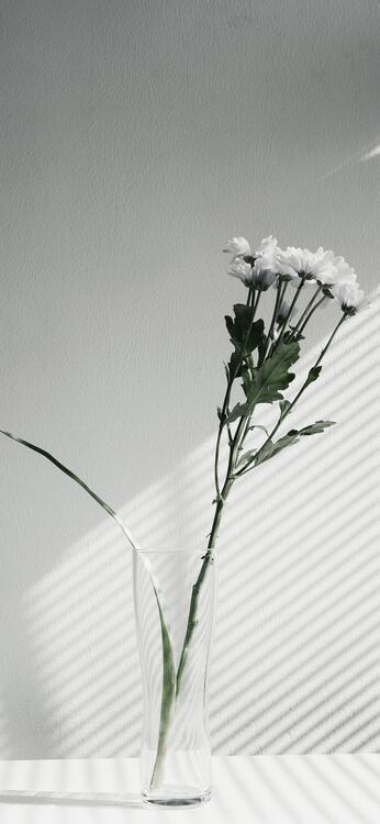 Aesthetic 103665