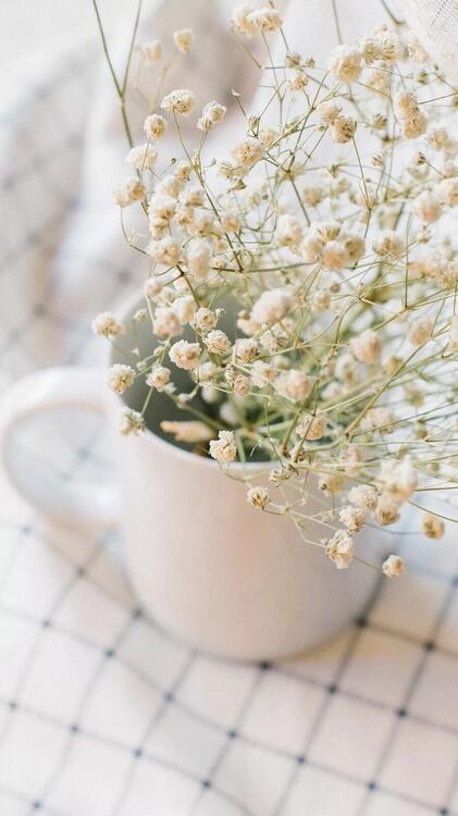 Spring 107955