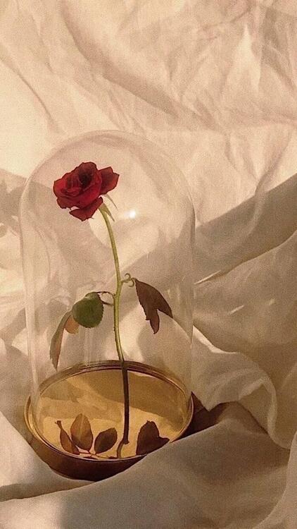 春天