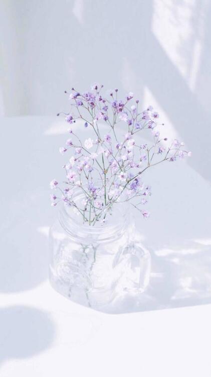 Spring 107951