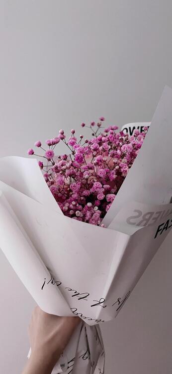 Spring 212048