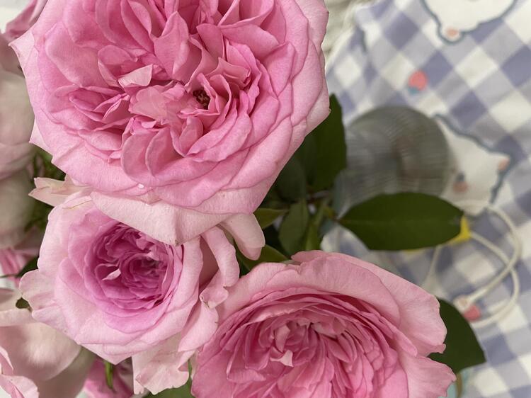 Ipad 177333