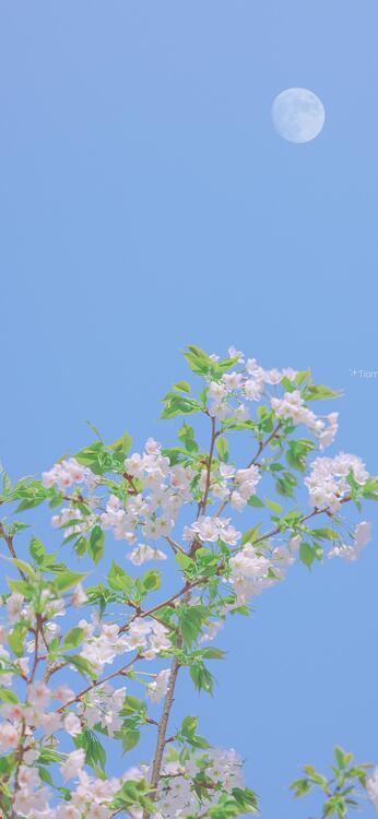 春天