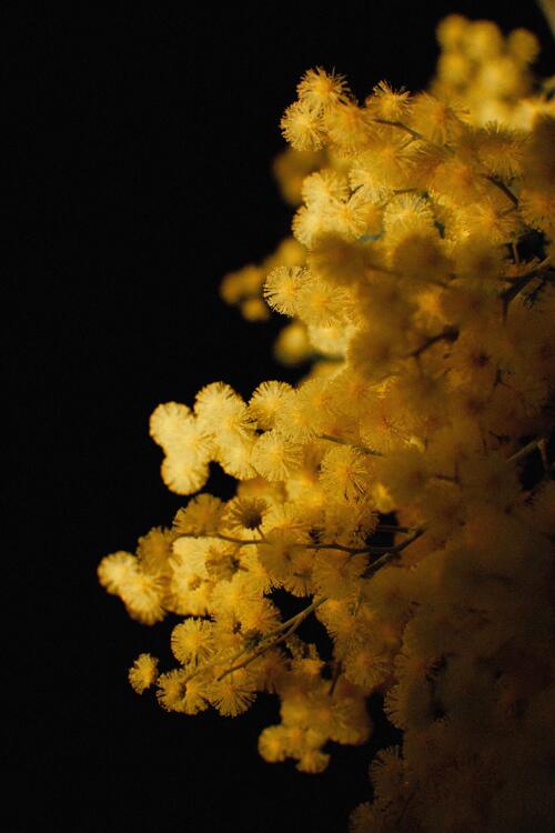 Spring 190728