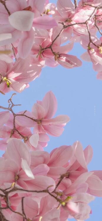 Spring 234989