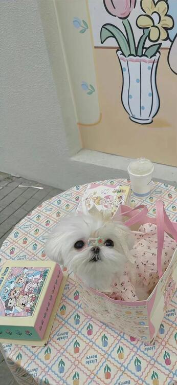 審美