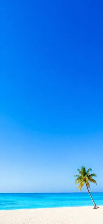 Blue 327531