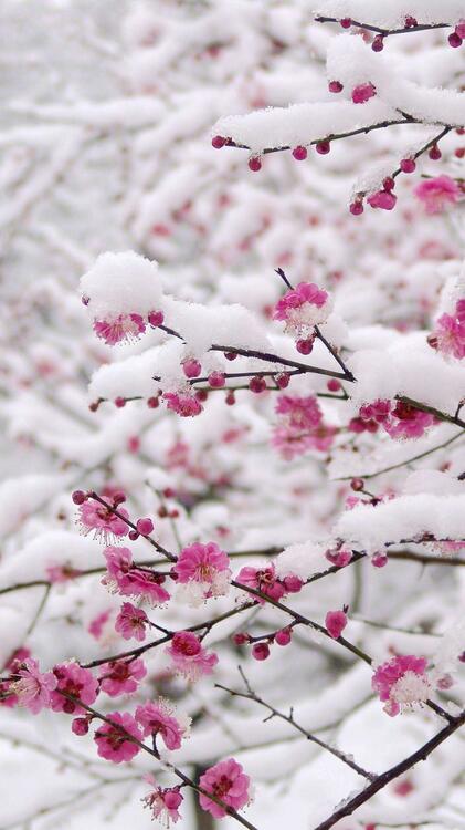 Naturaleza 260113