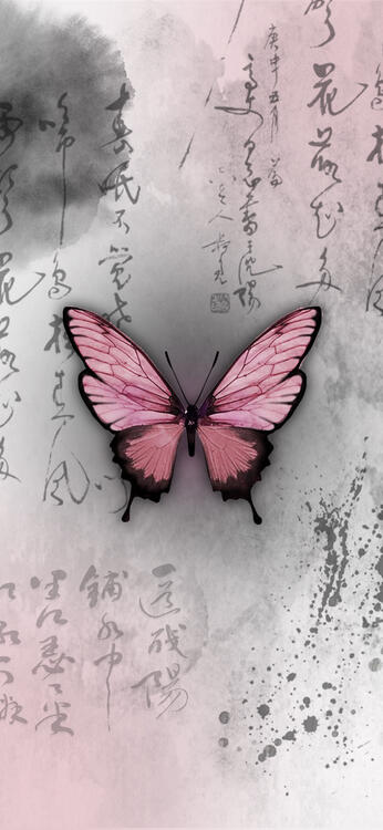 Wallpaper aesthetic wallpapers iPhone