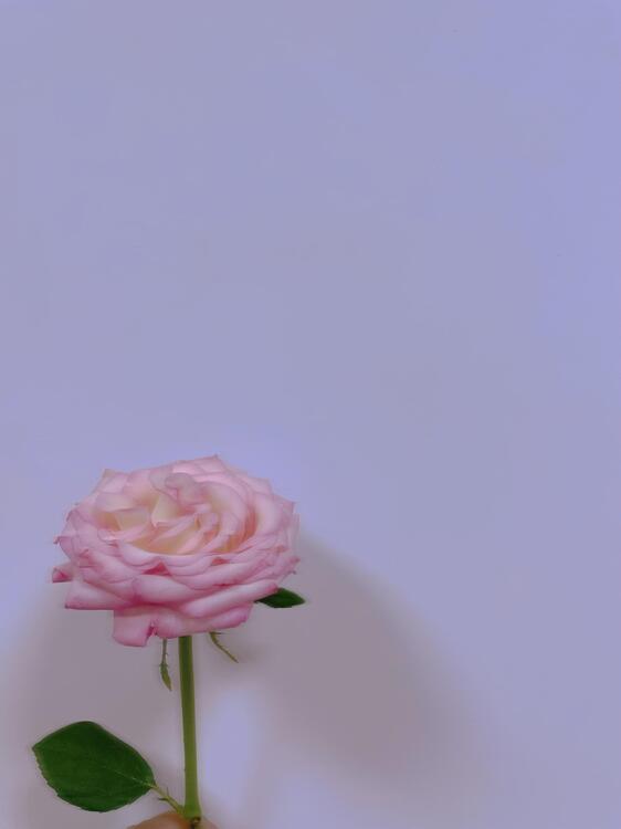 Ipad 177112