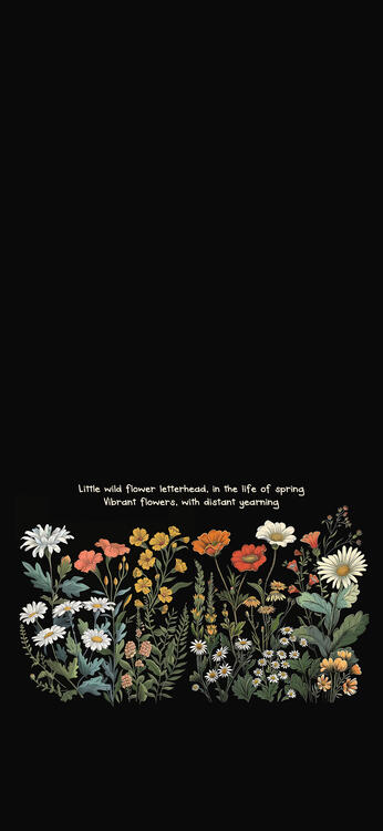 Wallpaper aesthetic wallpapers iPhone