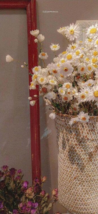Spring 221790