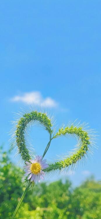 藍色