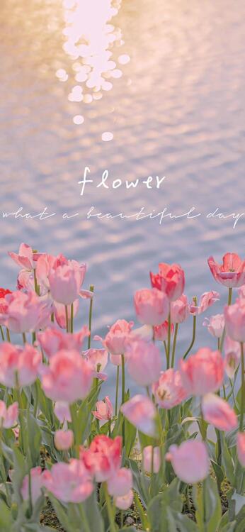 Spring 215368