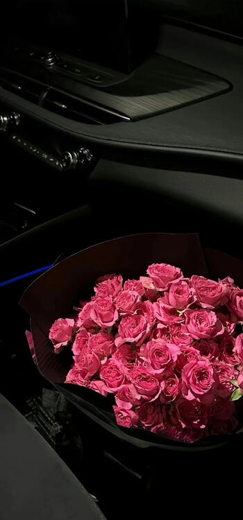 Spring 225499