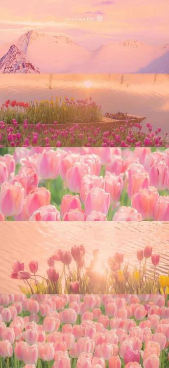 春天