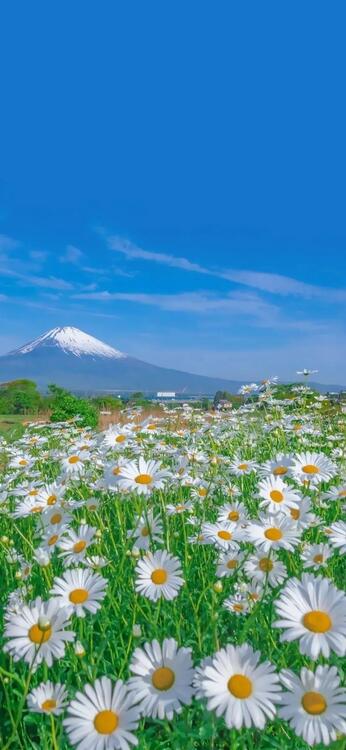 壁紙おしゃれなiPhone壁紙