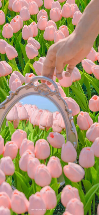 Spring 221507