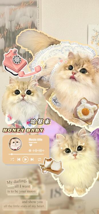 壁纸精美iPhone壁纸