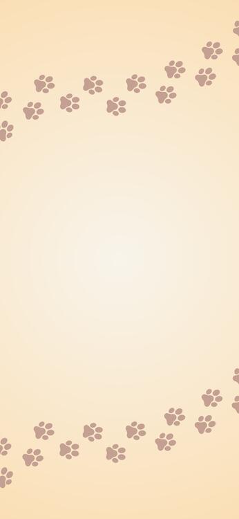 游戏 329673