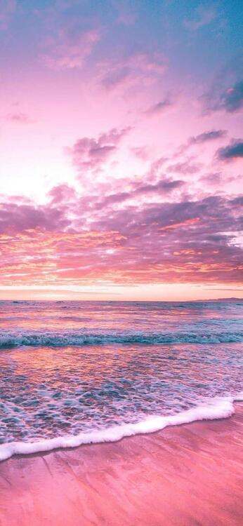 Pink 100138