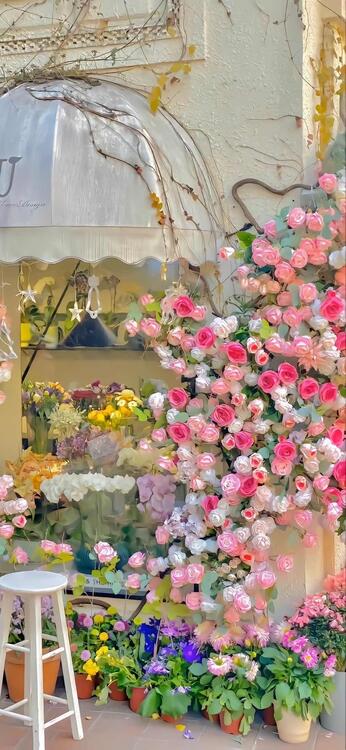 Primavera