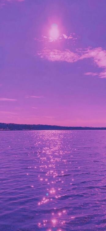 Purple 106896