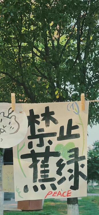 春天
