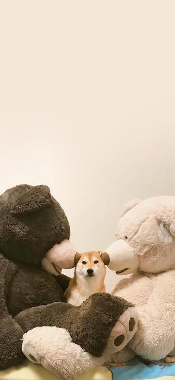 壁纸精美iPhone壁纸